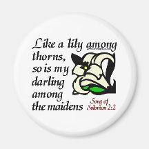 Song of Solomon 2:2 Refrigerator Magnet