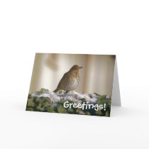 Song Thrush Greetings Card