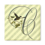 Songbird Initial C magnets