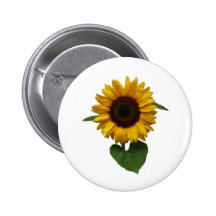 sonnenblume sun flower button