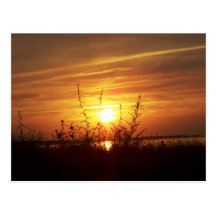 Sonnig! Postkarten