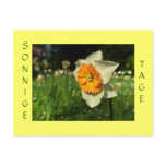 Sonnige Tage - Verschick Sommergruesse