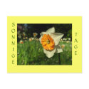 Sonnige Tage - Verschick Sommergruesse postcards