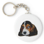 Sonny_1[1] keychains