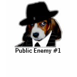 Sonny[1], Public Enemy #1 t-shirts