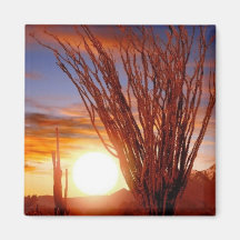 Sonora Desert, Arizona Fridge Magnets