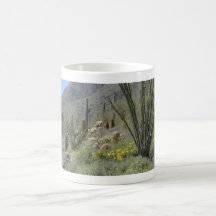 Sonoran Desert in bloom Mugs