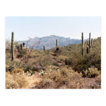 Sonoran Desert in Spring Postcards