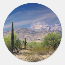 Sonoran desert sticker