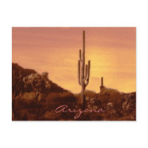 sonoran sunset with text postcard