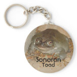 Sonoran, Toad, Arizona keychains