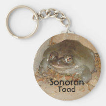 Sonoran, Toad, Arizona Keychains