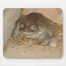 Sonoran Toad Arizona Mouse Pads