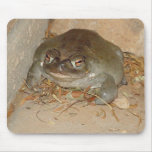 Sonoran Toad Arizona mousepads