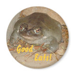 Sonoran Toad Good, Eats! Arizona magnet