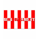 sons of liberty dark shirt