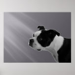 Sophie in the Sunlight - Print