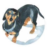 Sophie the Dachshund Stickers