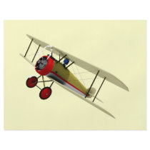 Sopwith Camel and Pilot
