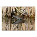 sora reflections greeting card