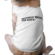 SORRY BOYS, I'M GAY