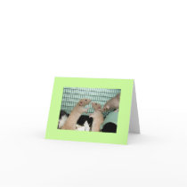 sorry greeting cards