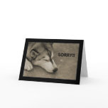 Sorry! cards