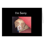 Sorry Eyes Card