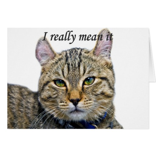 Sorry for Missing Your Birthday Greeting Cards