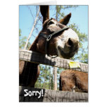 Sorry! I feel like an ass! Greeting Cards