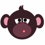 Sorry Monkey pin photo sculptures