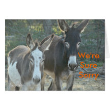 Sorry Mules-customise Card