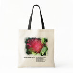 Soul Creativity Tote Bag