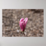 Soul love posters