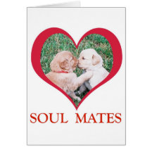 Soul Mates Shirts, Cards, Mugs