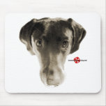 Soulful Black Lab Face Mouse Pads