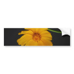 Soulful Coreopsis flower and meaning bumper stickers