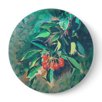 Sour Cherries