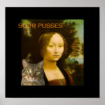 Sour Pusses posters
