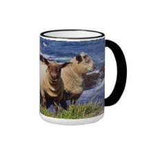 Sout Devon Two Lambs On Cliff Edge On Coast Path Mugs