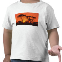 South Africa.  African sunset. T Shirt
