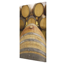 South Africa, Cape Town. Stellenbosch wine area, Gallery Wrap Canvas