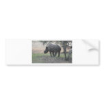South Africa Images Bumper Sticker