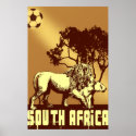 South Africa lion safari soccer Poster posters