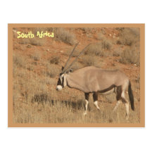 South Africa Post Card