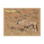 South Africa postcards