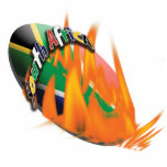 South African rugby magnets photo sculptures