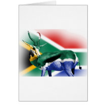 South African Springbock Flag Card
