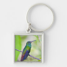 South America, Costa Rica, Sarapiqui, La Selva Key Chain