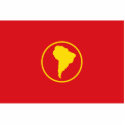 South America (Proposal) flag photo sculptures